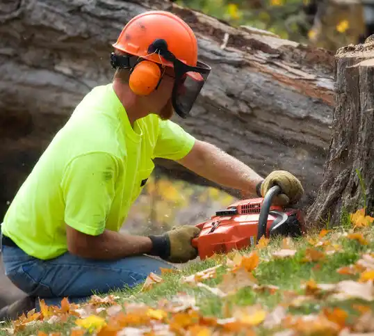 tree services Rogers